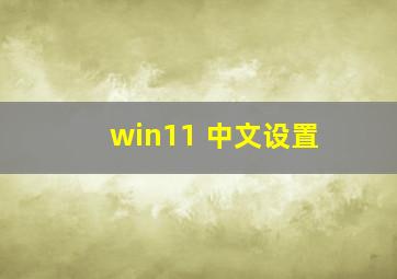 win11 中文设置